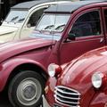 IMG_3328 _Large_.jpg